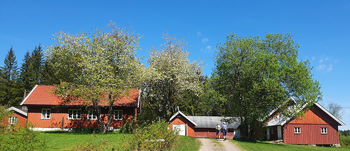 Kjenn din bygd: Tur til nære Nordmarksplasser