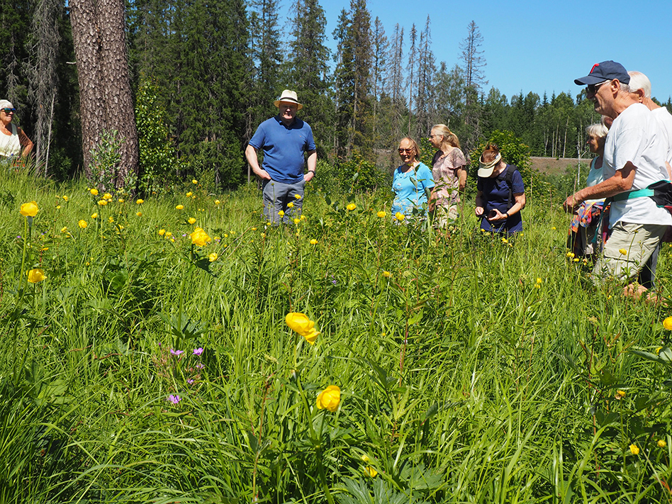 Søndag blir det tur til Slåttemyra